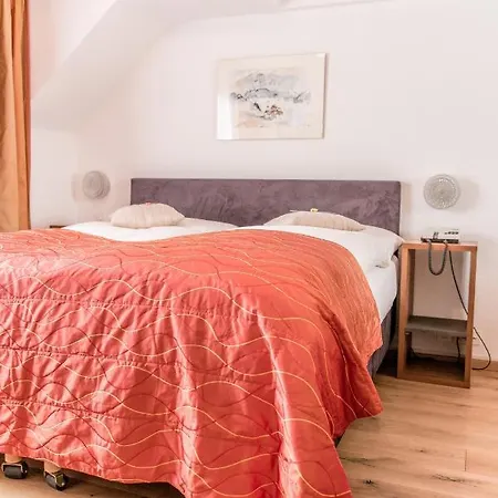 Chalet-hotel Larix Hotel Davos