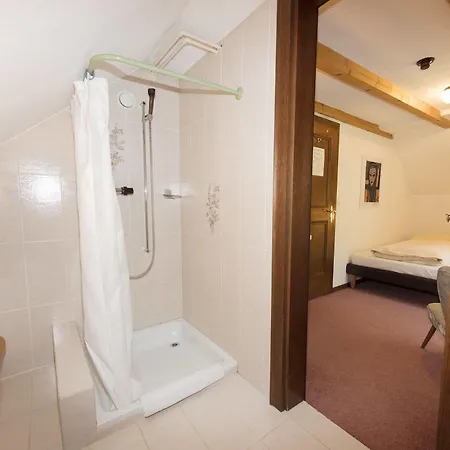 Hotel Chalet-hotel Larix Davos
