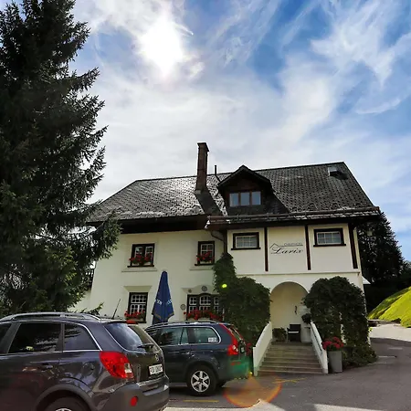 Otel Chalet-hotel Larix