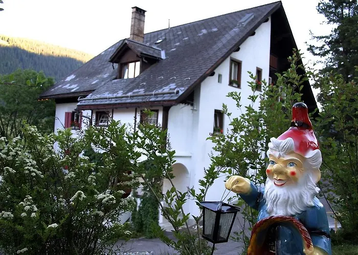 Hotel Chalet-hotel Larix Davos