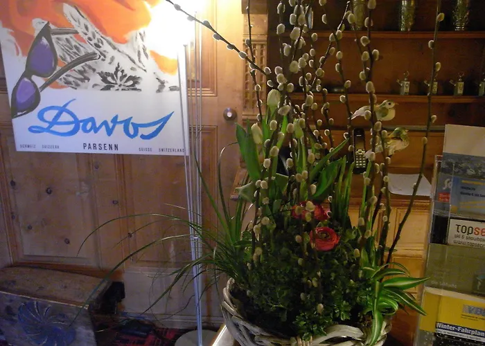 Chalet-hotel Larix Hotel Davos