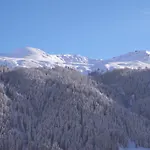 Chalet-hotel Larix 酒店 达沃斯