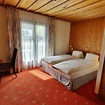 Chalet-hotel Larix 3* 达沃斯