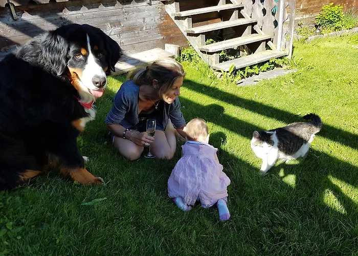 Chalet-hotel Larix Отель