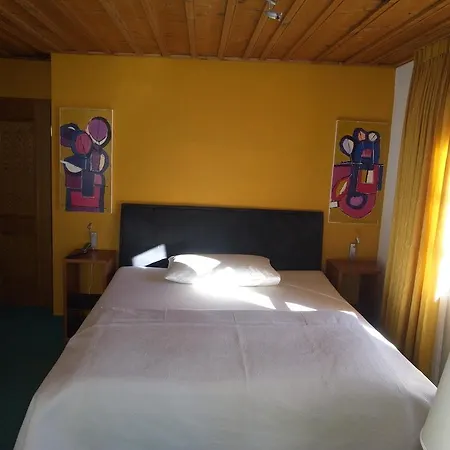 Chalet-hotel Larix 3* ダヴォス・プラッツ