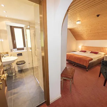 Chalet-hotel Larix 3* دافوس