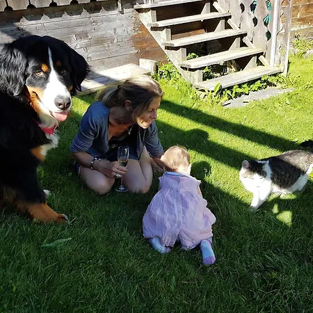 Chalet-hotel Larix فندق